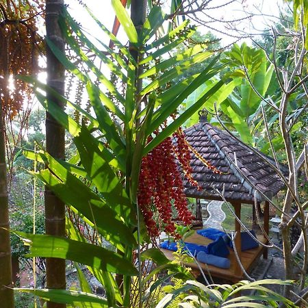 Sananda Bungalow 러비나 외부 사진