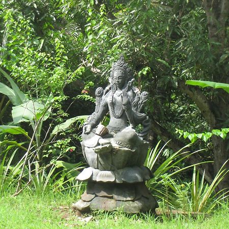 Sananda Bungalow 러비나 외부 사진