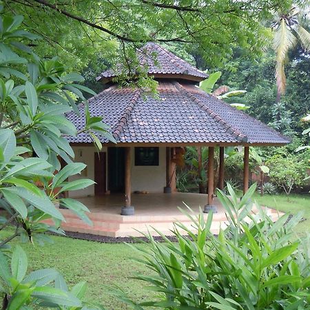 Sananda Bungalow 러비나 외부 사진