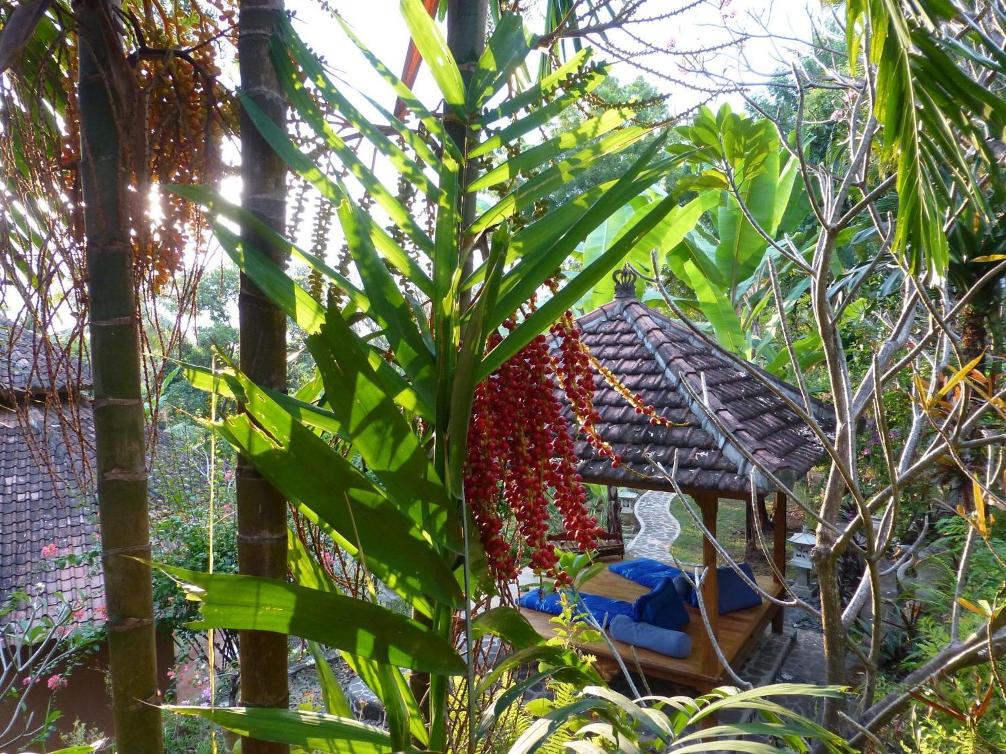 Sananda Bungalow 러비나 외부 사진