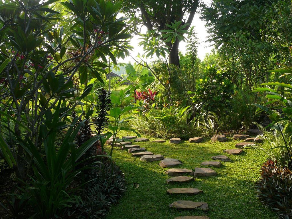 Sananda Bungalow 러비나 외부 사진